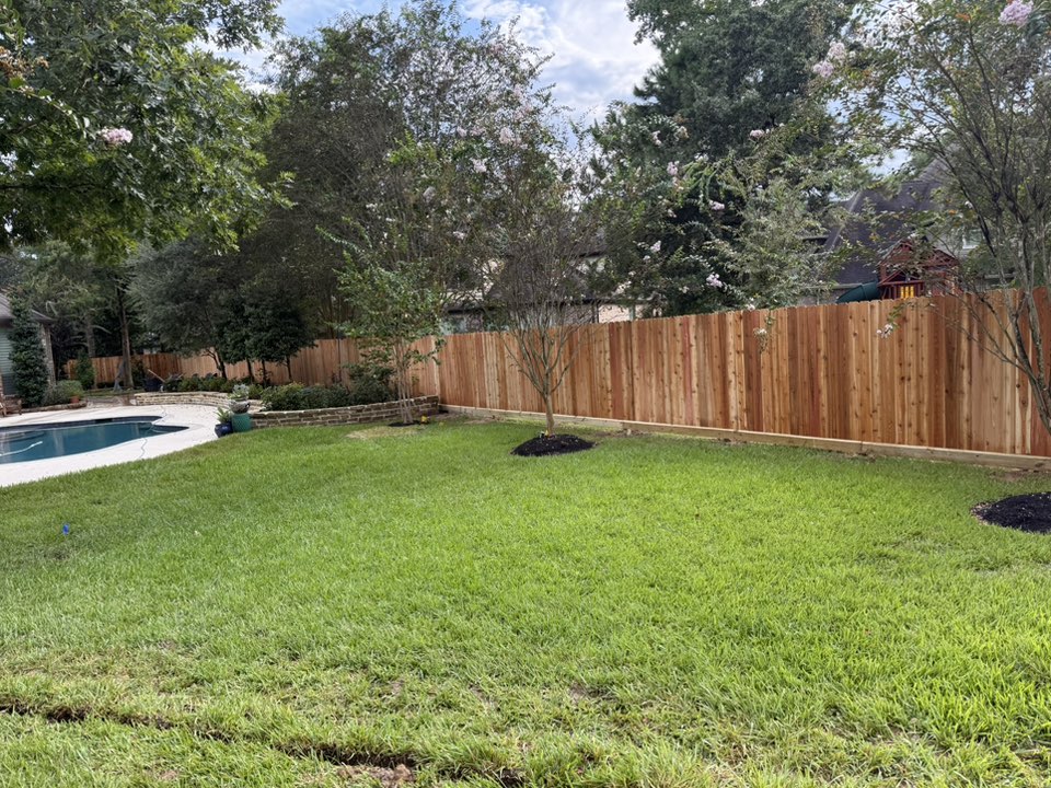 Backyard pool fence